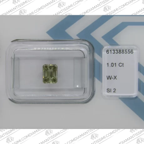 IGI Diamante 1.01 carato | W-X | SI 2 zoom pietra